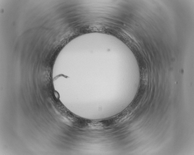 X0000088200603200706051234