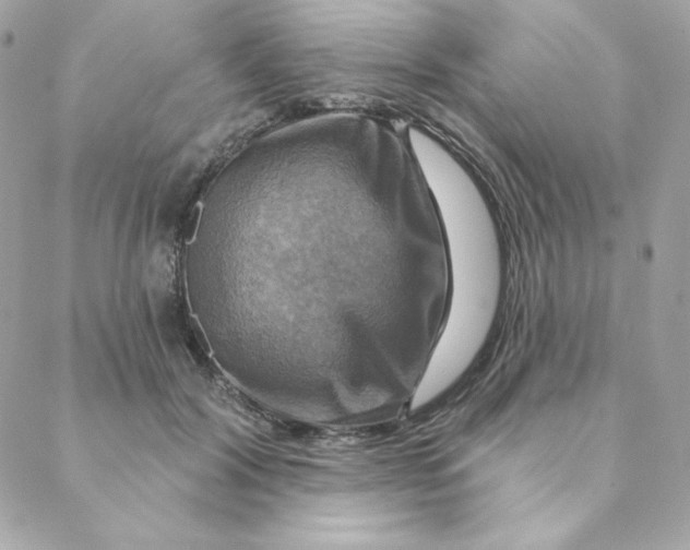 X0000088200604200706051234