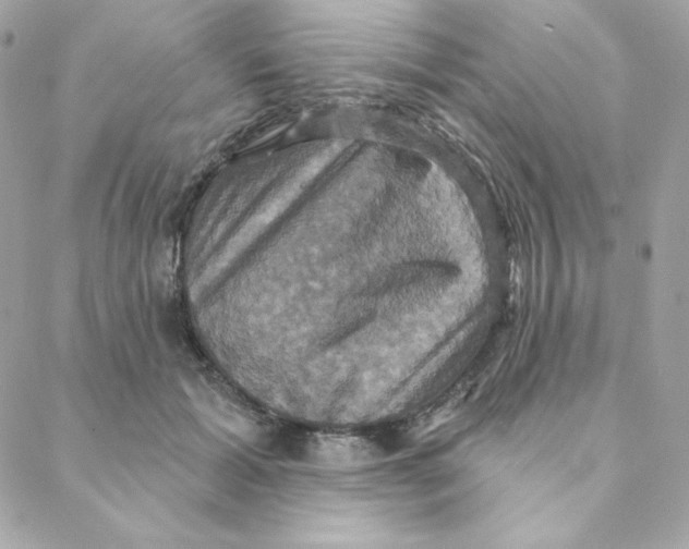 X0000088200605200706051234