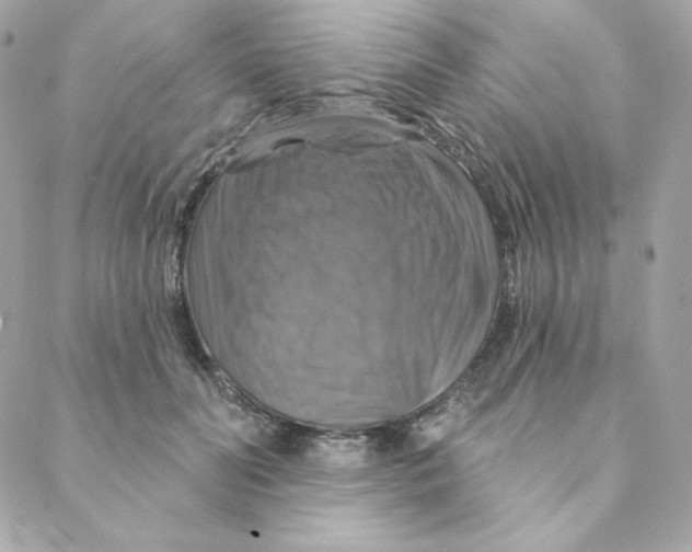 X0000088200606200706051233