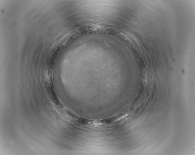 X0000088200607200706051233