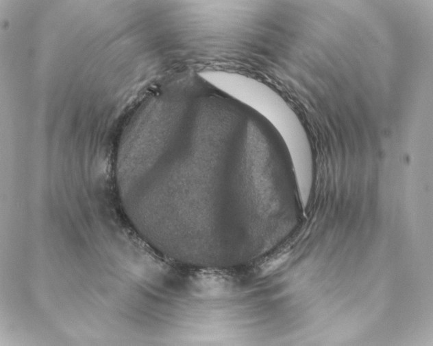 X0000088200608200706051233