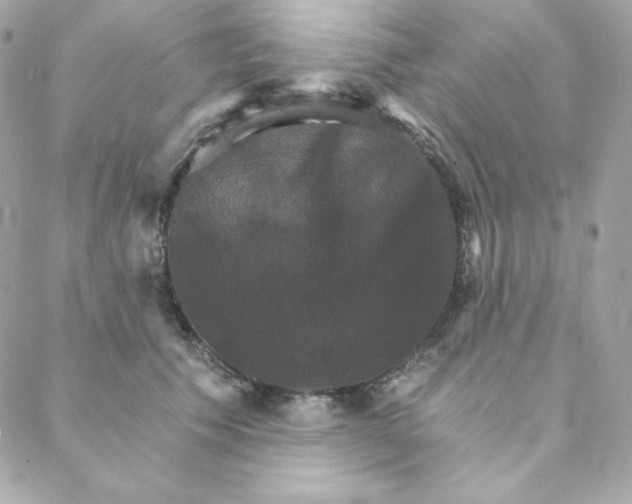 X0000088200609200706051233