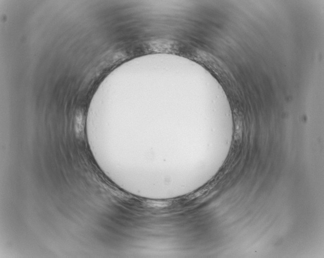 X0000088200610200706051233