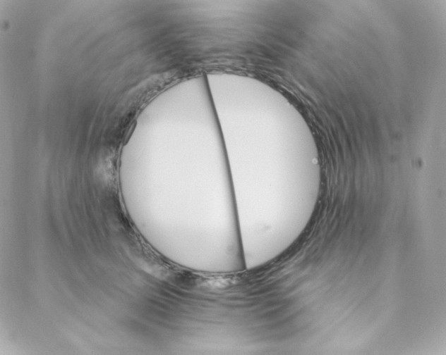 X0000088200611200706051233