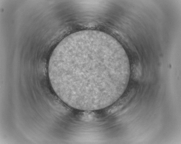 X0000088200612200706051233