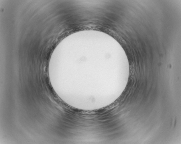 X0000088200615200706051233