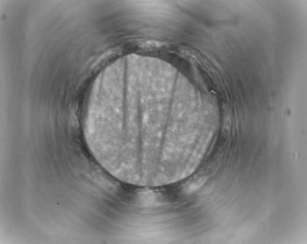 X0000088200616200706051233