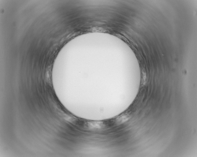 X0000088200618200706051233