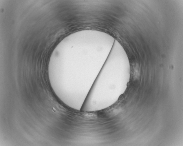 X0000088200619200706051233