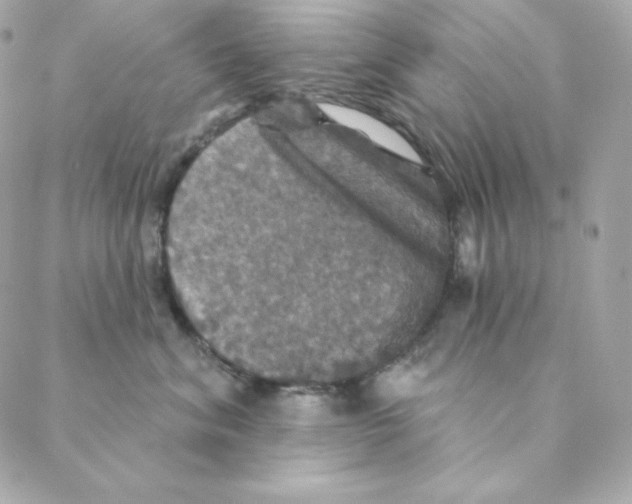 X0000088200620200706051233