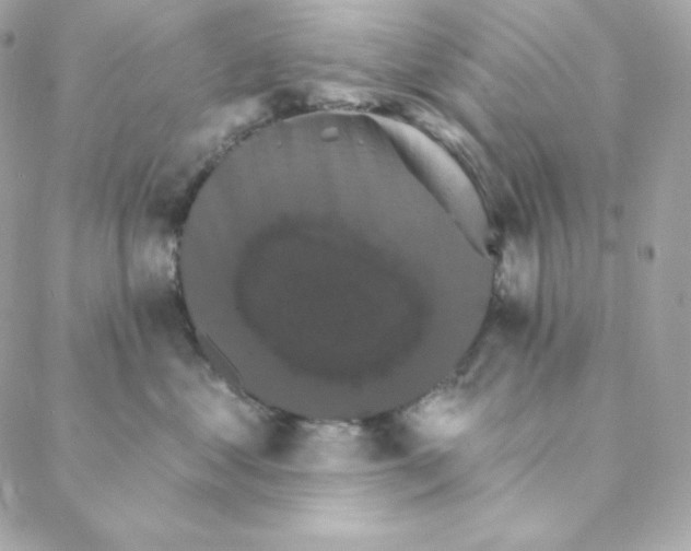 X0000088200621200706051233