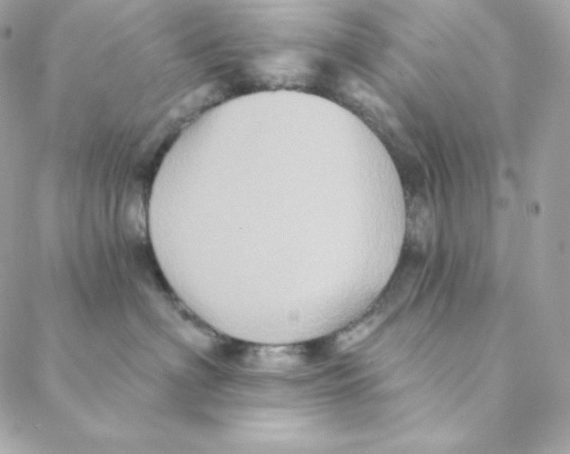 X0000088200622200706051233