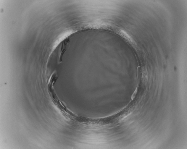 X0000088200626200706051232