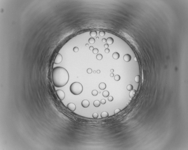 X0000088200627200706051232