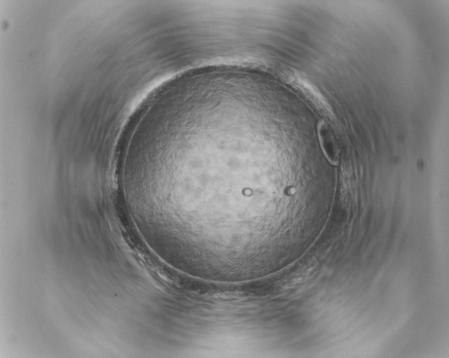 X0000088200628200706051232