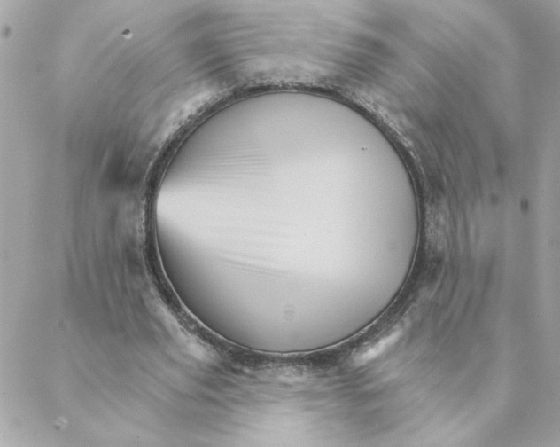 X0000088200629200706051232