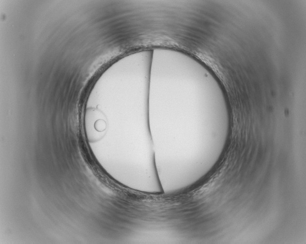 X0000088200630200706051233