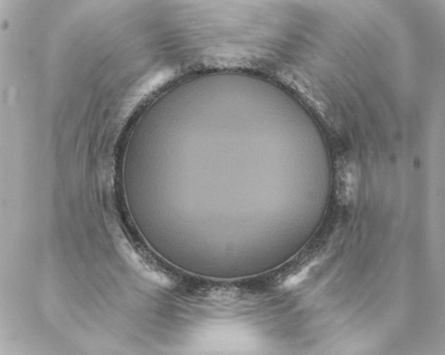 X0000088200631200706051233