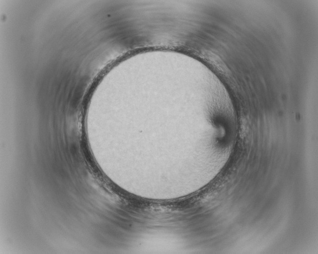 X0000088200632200706051233