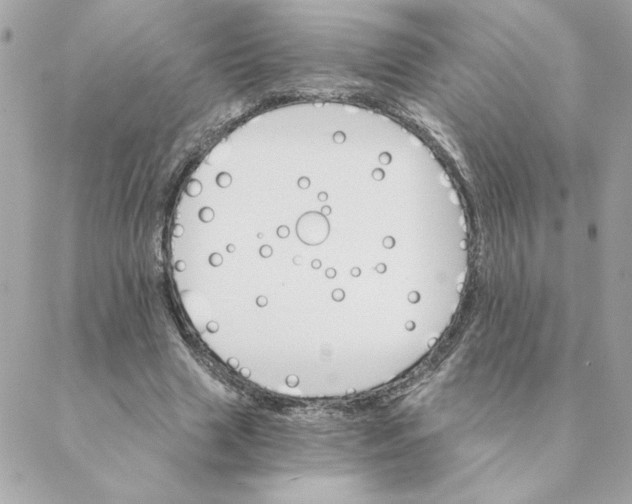 X0000088200633200706051233