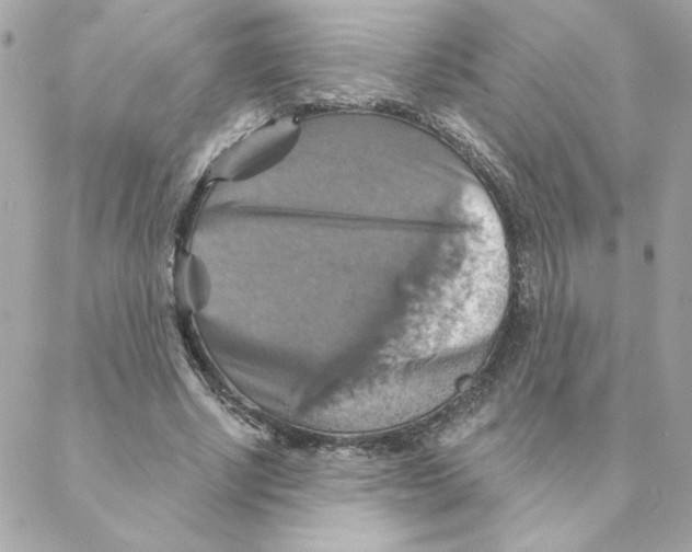 X0000088200634200706051233