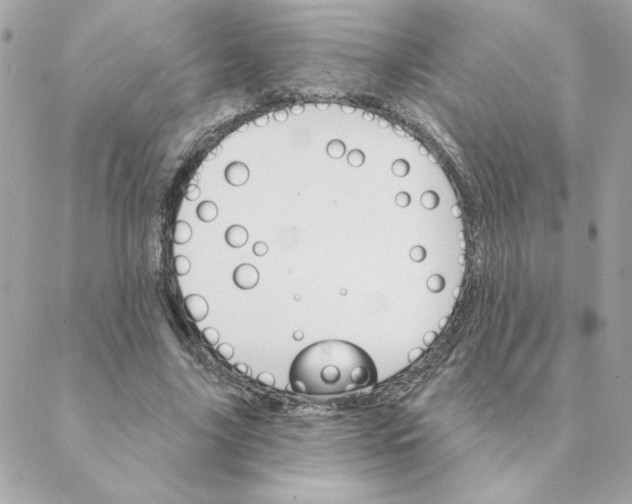 X0000088200635200706051233