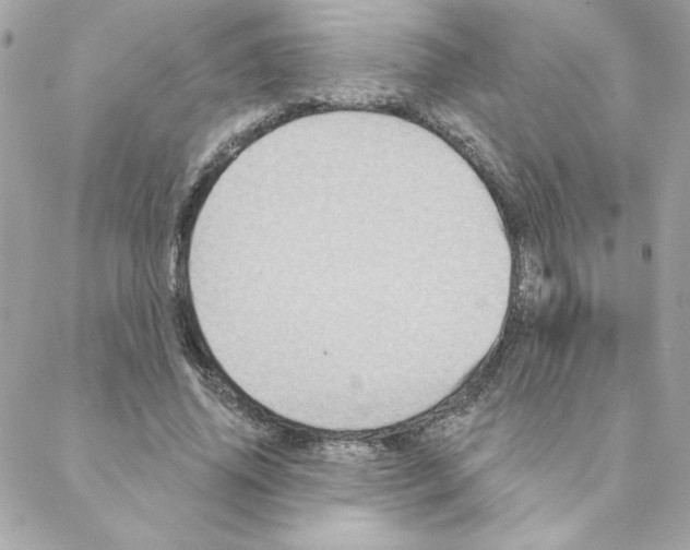 X0000088200636200706051233