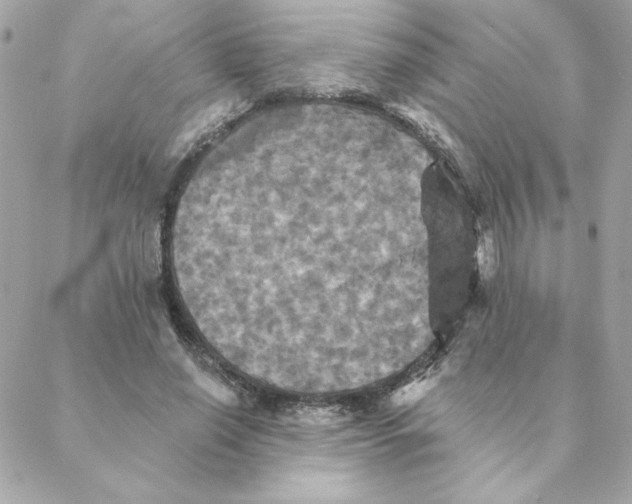 X0000088200638200706051233