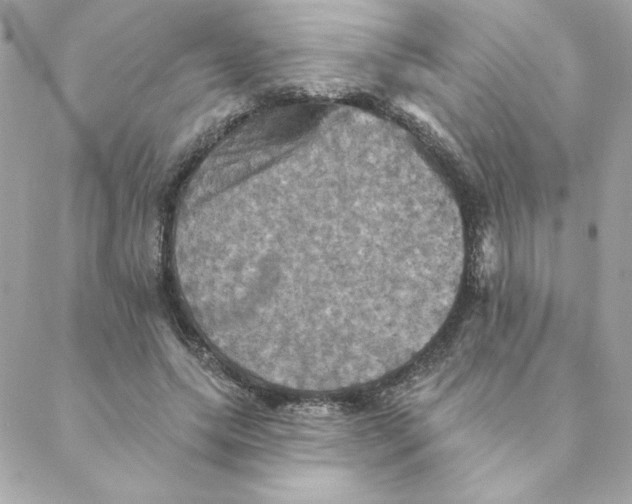 X0000088200639200706051233