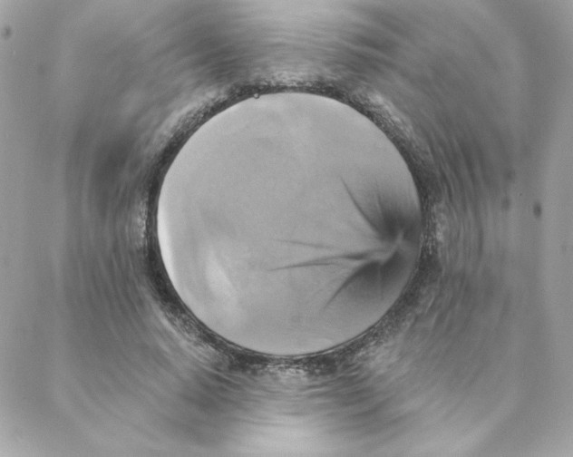 X0000088200640200706051233