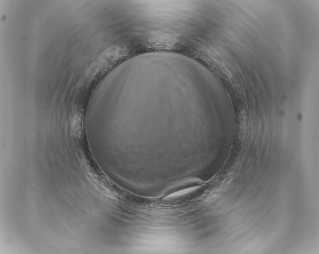 X0000088200641200706051233