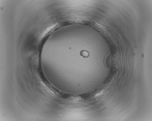 X0000088200642200706051233