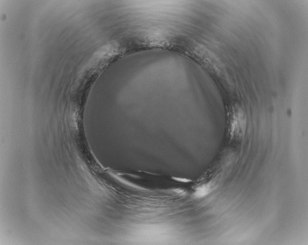 X0000088200643200706051233