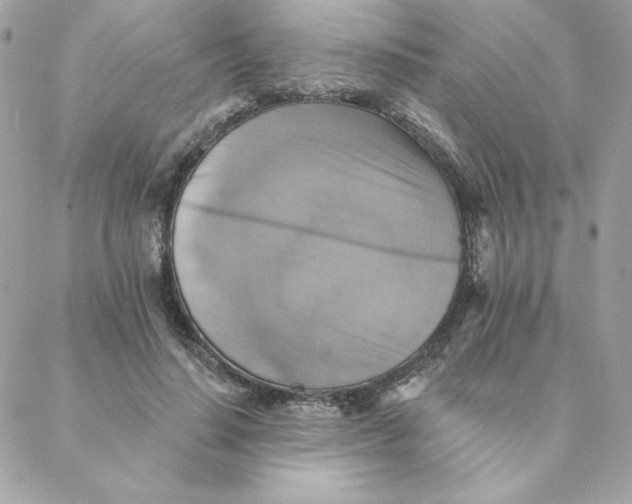 X0000088200644200706051233