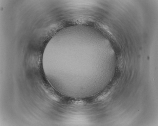 X0000088200645200706051233