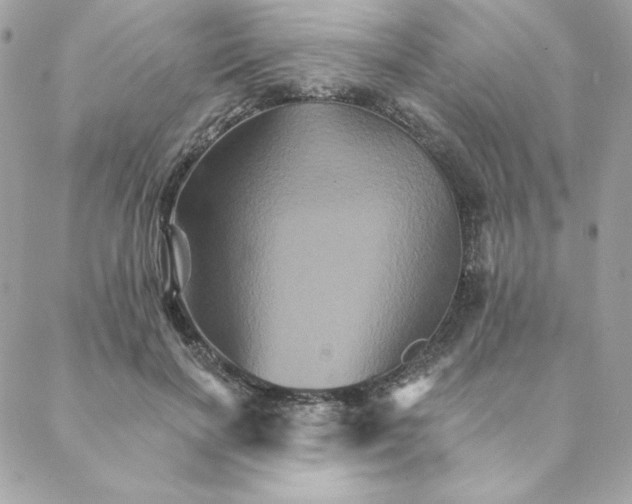 X0000088200646200706051233