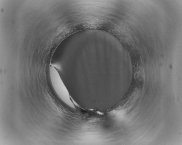 X0000088200647200706051233