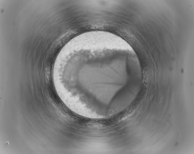 X0000088200648200706051233