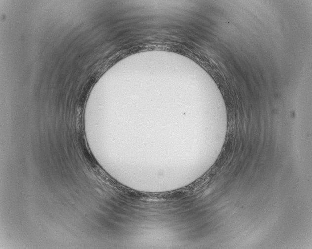 X0000088200649200706051233