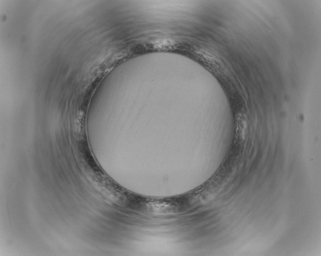 X0000088200650200706051233