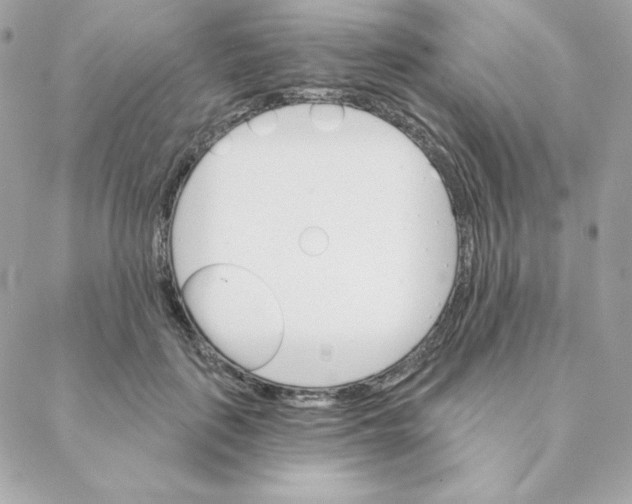 X0000088200651200706051233