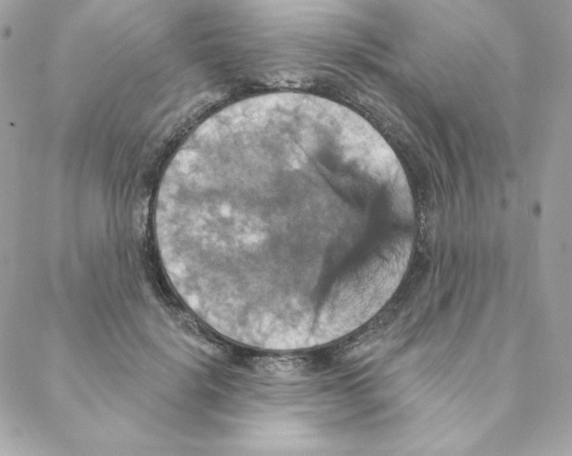 X0000088200652200706051233