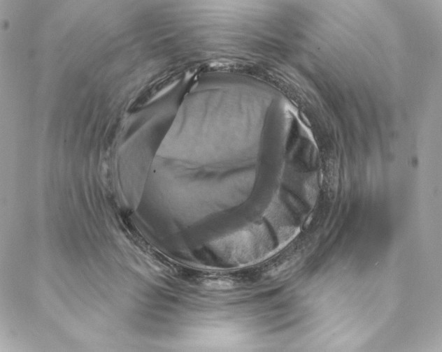 X0000088200653200706051233