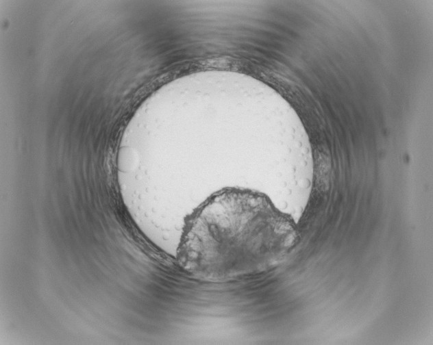 X0000088200654200706051233