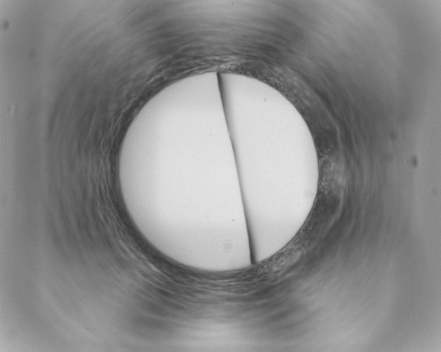 X0000088200655200706051233