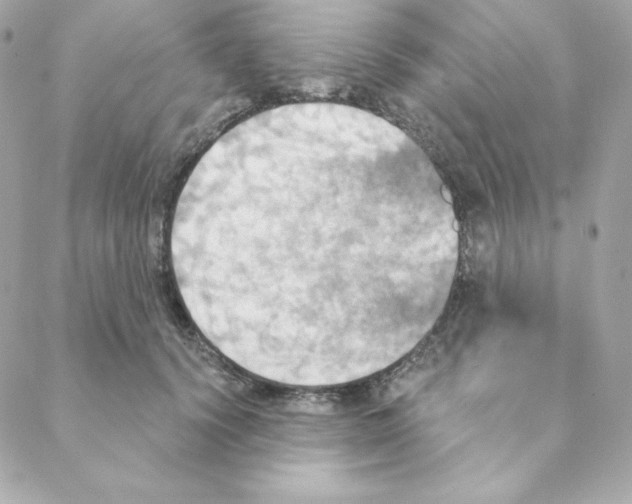 X0000088200656200706051233