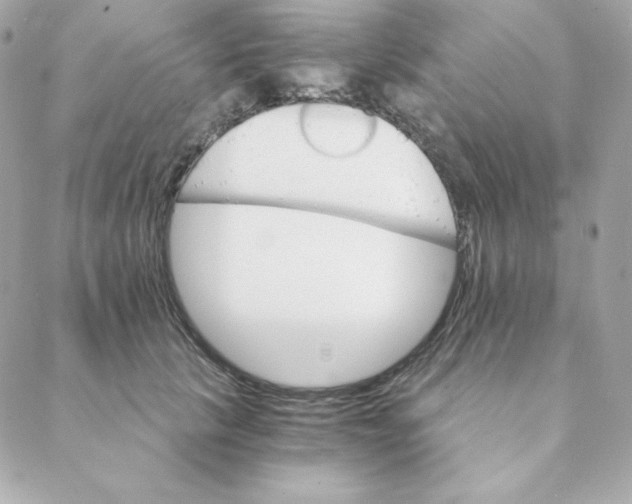 X0000088200657200706051233