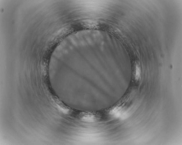 X0000088200658200706051233