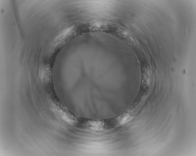 X0000088200659200706051233